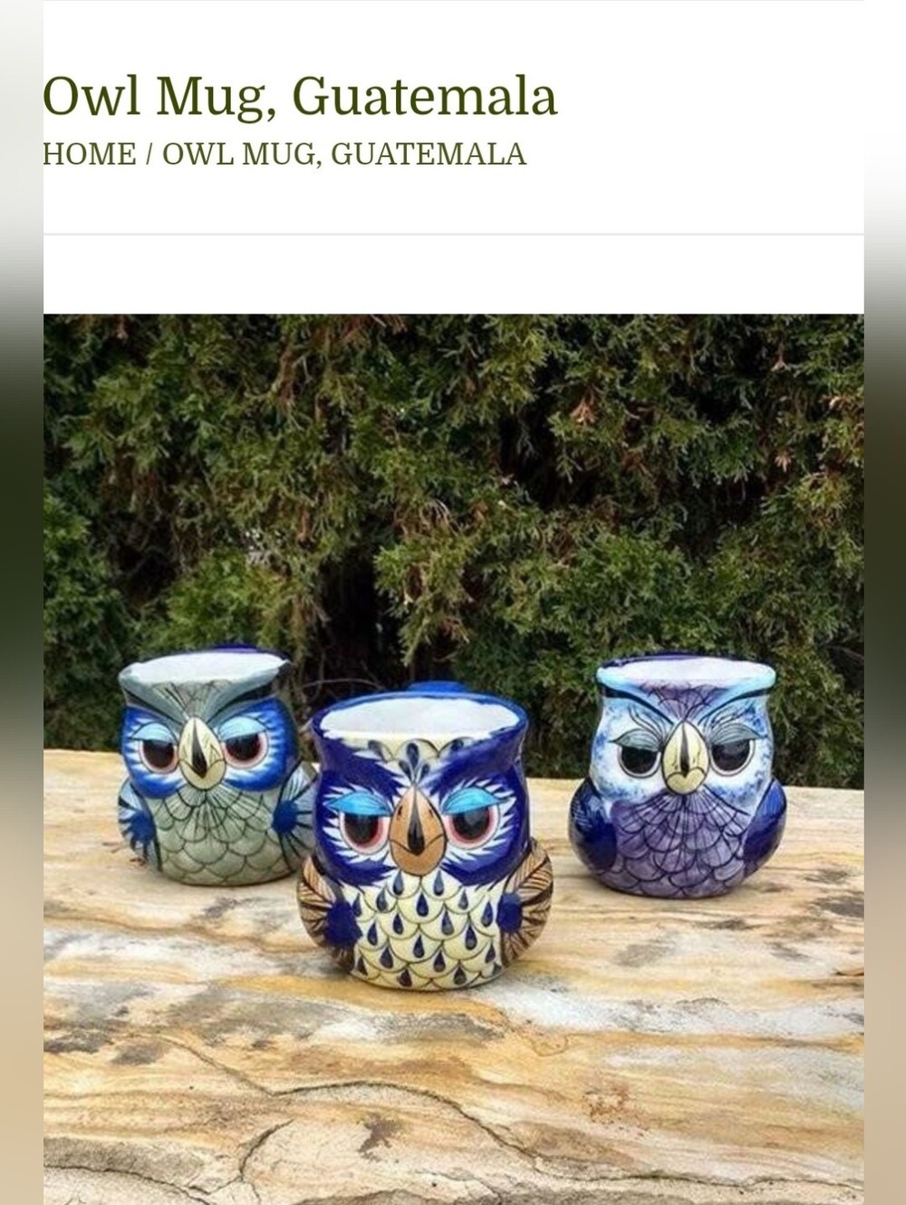 Fair Trade Owl Ceramic Pottery Coffee Mug Ken Edwards Trained Guatemalan Artisan - Picture 10 of 13